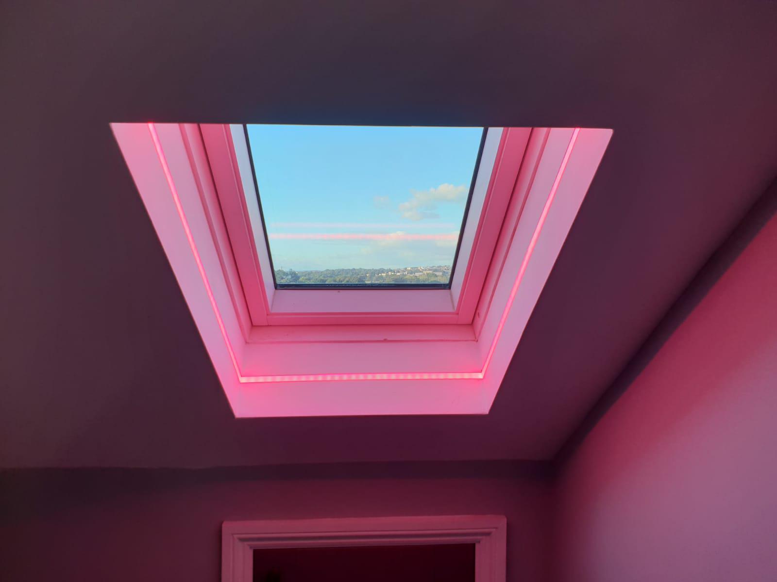 Velux Window Magenta