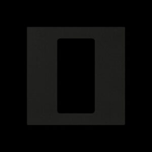 Lutron - Pico Plastic Black 1G - Black